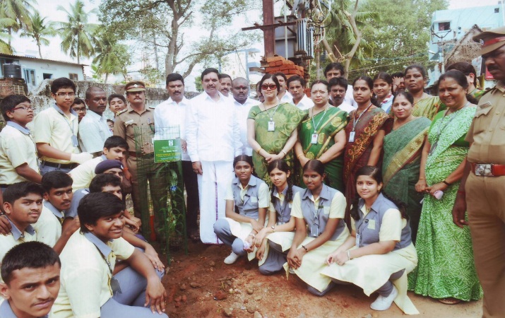 Community Initiatives & Saplings